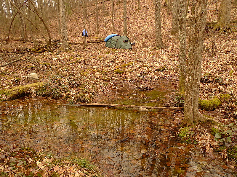 A Pretty Camp On Flats Mountain