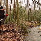 There Are Five Crossings On The Stiffknee Trail To Farr Gap by Tipi Walter in Views in North Carolina & Tennessee