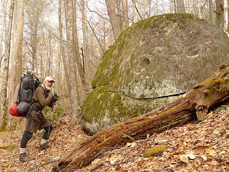 Big Frog Rock Will Eat You So Do Not Stand Too Close