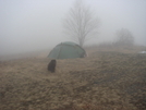 Staika Tent On A Windy Whiggs Meadow