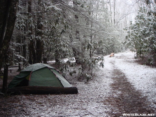 The Snow Starts/brookshire/mar08