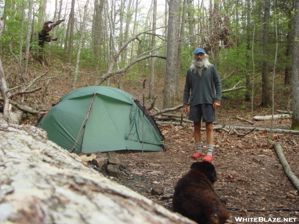 Set Up At Wild Bird Camp/bmt-ike