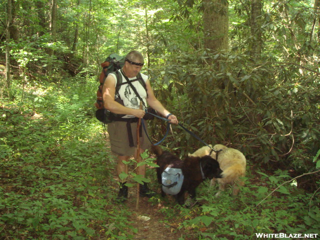 Backpacking Tom Loomis