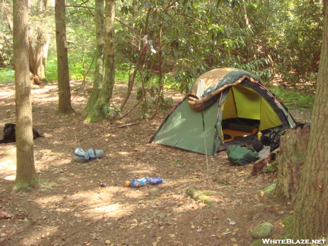 August '08 Brookshire Campsite