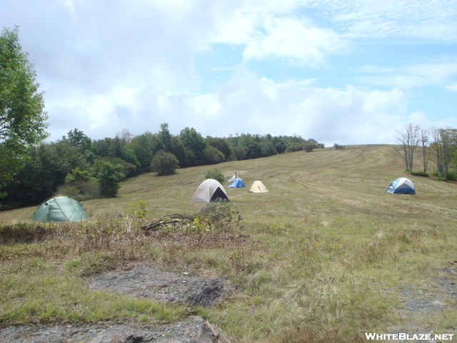 Tents On Whiggs Meadow