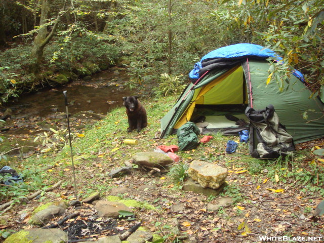 Fine Campsite On The South Fork