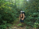 Backpacking In The Citico Valley/oct '08 by Tipi Walter in Views in North Carolina & Tennessee