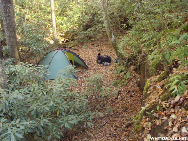 On The North Fork Citico/nov'08