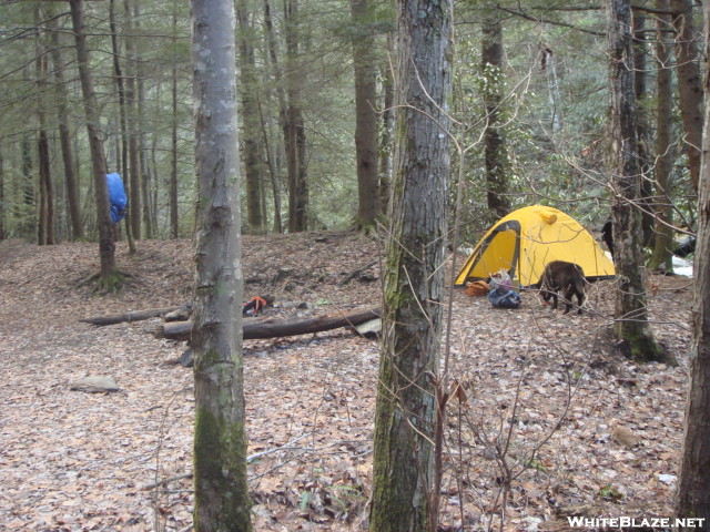 Trying Out The Mk3 Tent/dec'08