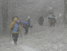 Scouts In The Snow/jan'09