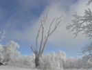 Blue Sky/jan'09 by Tipi Walter in Views in North Carolina & Tennessee