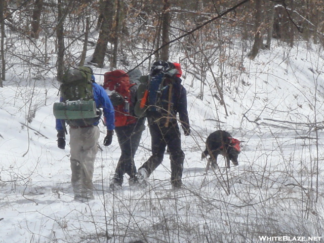 3 Backpackers From Georgia/cold Spring Gap