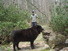 On The Deep Creek Trail Footbridge/apr'09