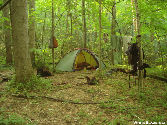 Deep Creek Campsite