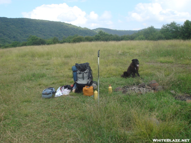 A July Arrival To Whiggs Meadow