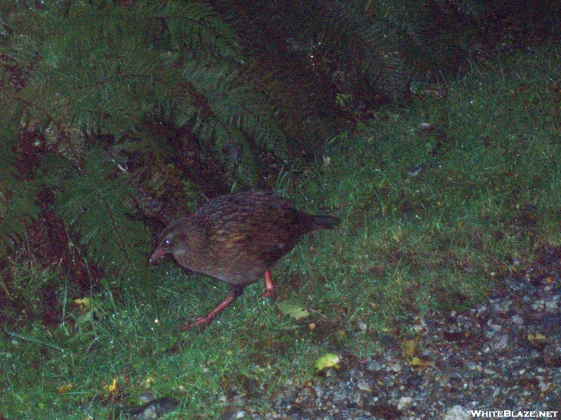 Weka Day 3 Mt