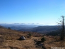 Grayson Highlands by Booley in Views in Virginia & West Virginia