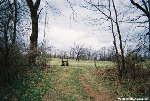 Approaching horse pasture North of Boiling Springs