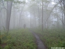 Bly Gap by scope in Trail & Blazes in Georgia