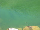 Trout In Lake Of Glass by scope in Other Trails