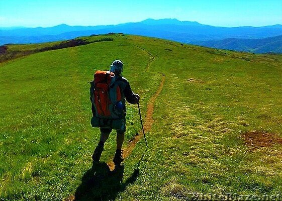 Hump Mountain Summit