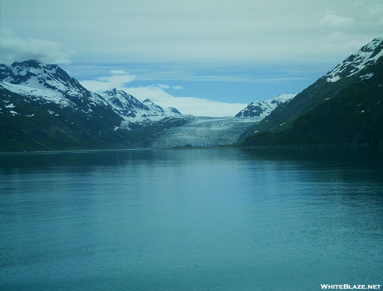 Glacier Bay - Reid
