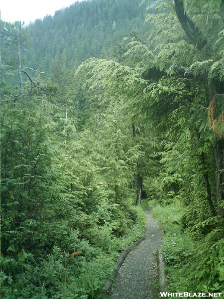 Ketchikan - Deer Mountain Trail 2