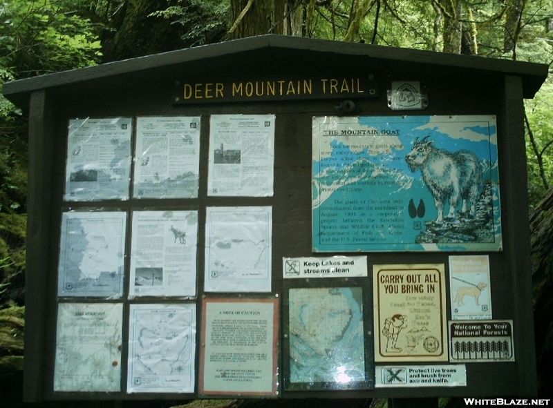 Ketchikan - Deer Mountain Trail 3