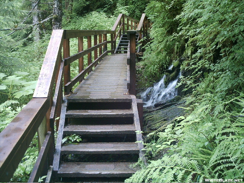 Ketchikan - Deer Mountain Trail 4