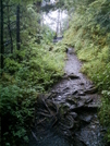 Ketchikan - Deer Mountain Trail 13 by camojack in Special Points of Interest