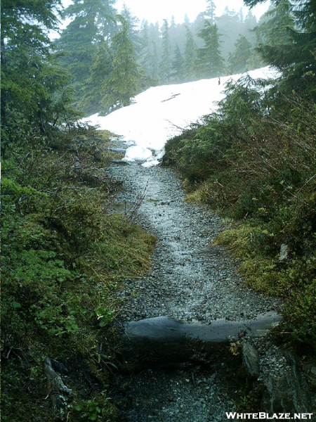 Ketchikan - Deer Mountain Trail 17