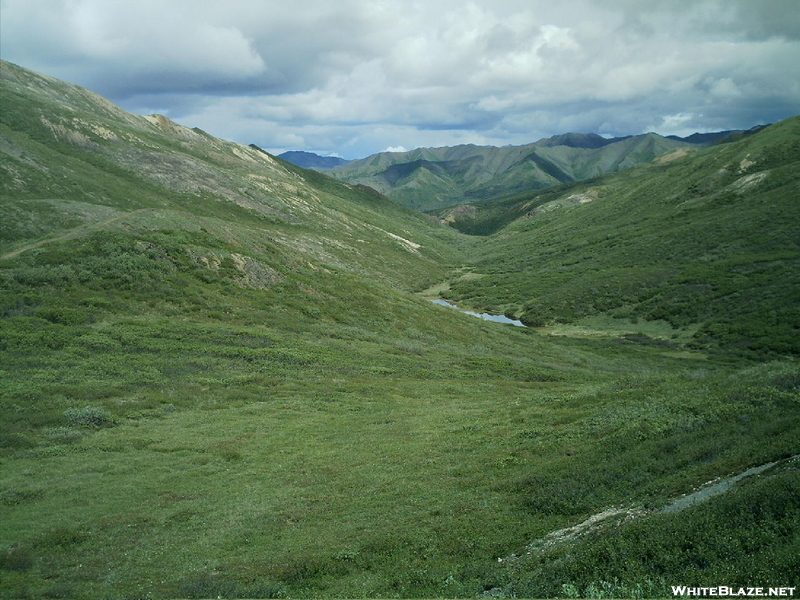 Denali N.p. 2008 Scenery 2