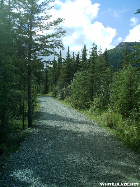 Denali Trails 8