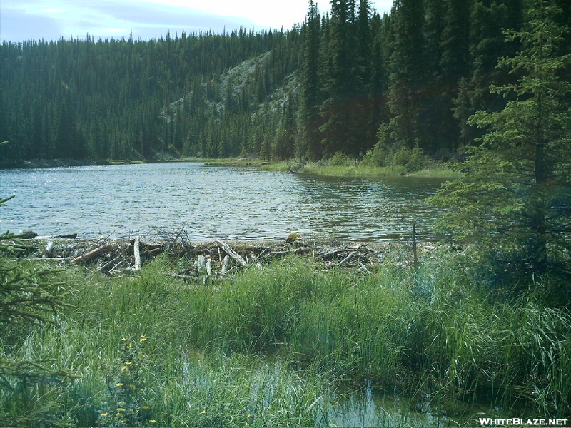 Denali Trails 2