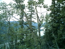 Dawson City Hike - Yukon River View 2