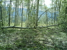 Dawson City Hike Scenery