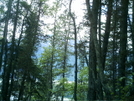 Skagway Trails - View