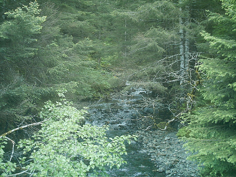 Alaska 2011 - Kodiak stream