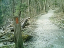 Billville Trail