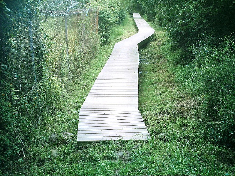 boardwalk just South of US 522