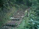 W. Guindon Bridge Trail