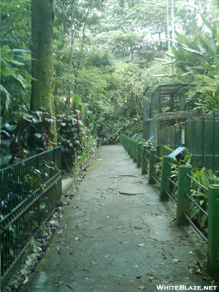 Walkway In The National Zoo