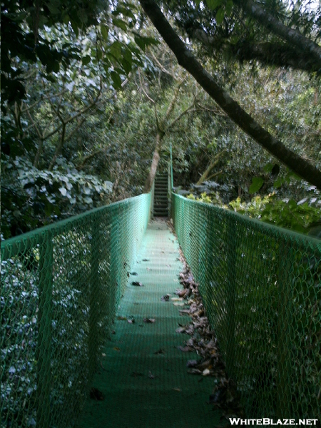 Puente Tuercas Bridge 3