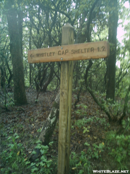 Distance To Whitley Gap Shelter Sign