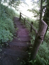 Last Steps Before Stecoah Gap by camojack in Trail & Blazes in Georgia