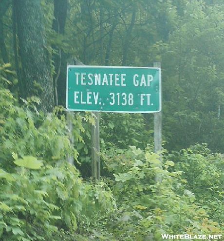 Tesnatee Gap Sign