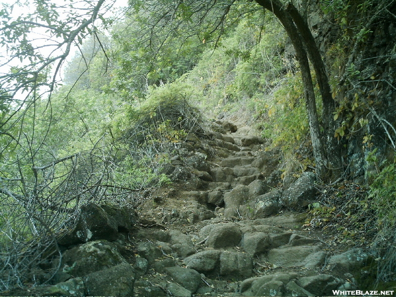 Muliwai Trail