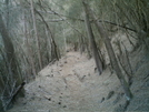 Muliwai Trail 4