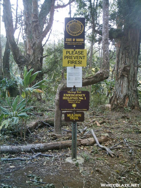 Muliwai Trail Signage