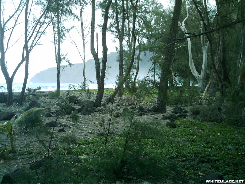 Waipio Valley Trail